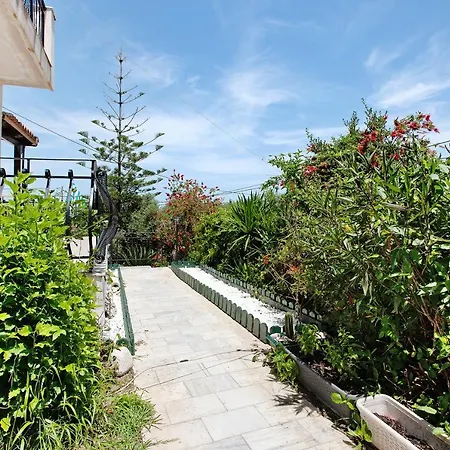 Yiannis 5 Adults 3 *